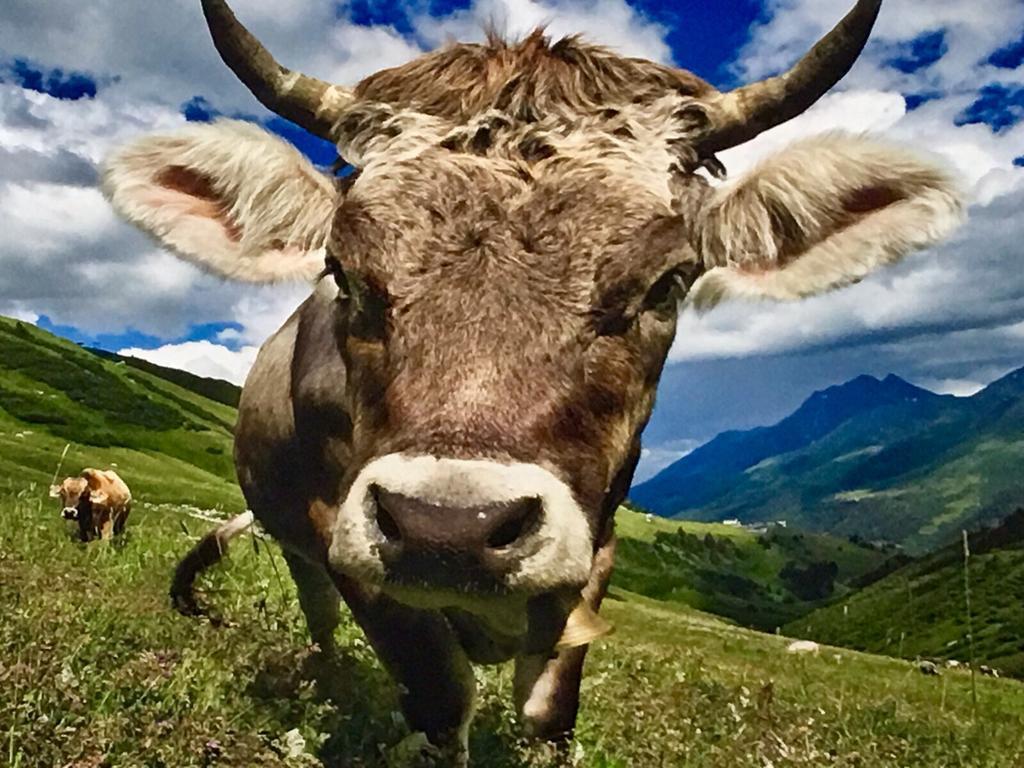 Arlberg Lodges Stuben am Arlberg Luaran gambar